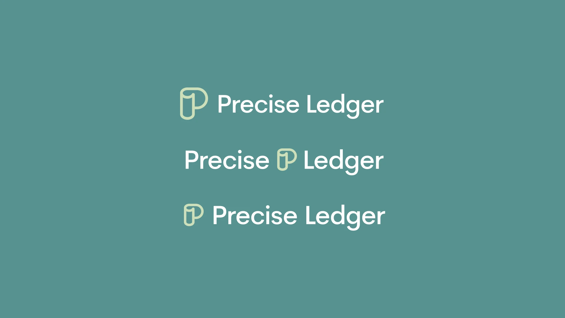 precise ledger 4